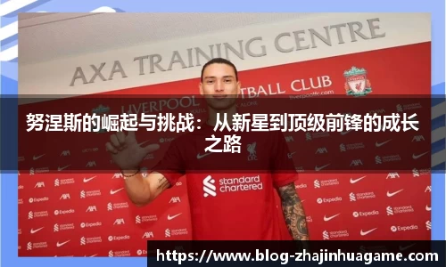 努涅斯的崛起与挑战：从新星到顶级前锋的成长之路